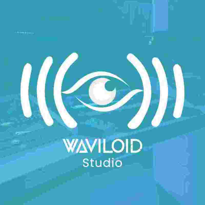 Waviloid Studio Market