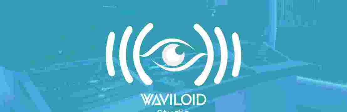 Waviloid Studio Market